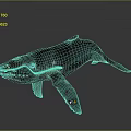 Detailed Realistic Whale 3D Model with Black Body White Spots on Gray Background