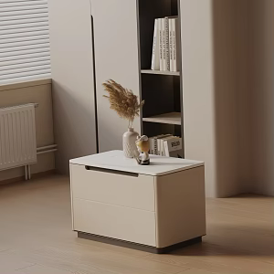 Modern Side 3d model