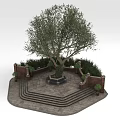 Lush Olive Tree Centerpiece with Stone Steps Low Brick Walls and Green Shrubs