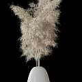 Decorative White Vases With Fluffy White Pampas Grass For Modern Interior