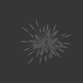 White Spiky Grass Like Plant With Green Slender Leaves Against Black Background