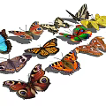 Modern Butterfly 3d model