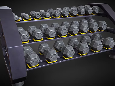 Organized Hex Dumbbell Rack With Multiple Layers For Gym Fitness Equipment 3d model