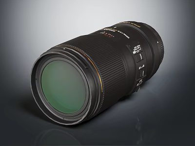 Professional Black Telephoto Camera Lens With Clear Glass And Grip Rings 3d model