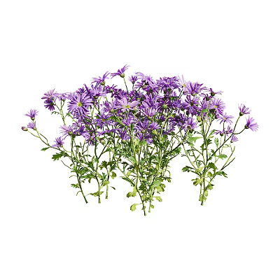 Modern Flower Purple Leaf Grass Flower 3d model