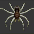 Realistic 3D Rendered Spider With White Legs And Brown Body On Gray Background