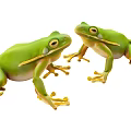 Vibrant Green Frogs Detailed Design With Natural Color And Lifelike Features