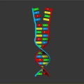 Colorful Double Helix DNA Model As Educational Decorative Household Item 3d model