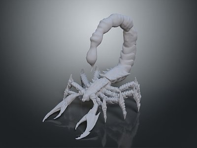 Five Striped Scorpion Karoleni Scorpion Italian Scorpion Mexican Scorpion Soves Scorpion East Asian Piners Scorpion 3d model