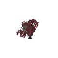 Decorative Hanging Ornament Set With Lush Red Foliage In Black Pot For Home Decor