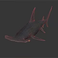 Hammerhead Shark 3D Model With Distinctive Head Shape And Realistic Physical Features 3d model