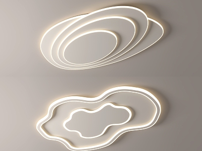 Modern ceiling lamp Special-shaped ceiling lamp model