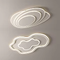 Modern ceiling lamp Special-shaped ceiling lamp 3d model