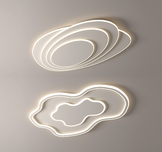 Modern ceiling lamp Special-shaped ceiling lamp 3d model