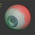 Medical Device Realistic Eye Anatomical Model For Ophthalmology Training And Education