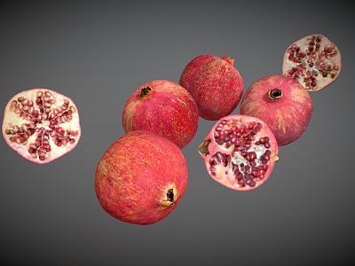 Pomegranate fruit model