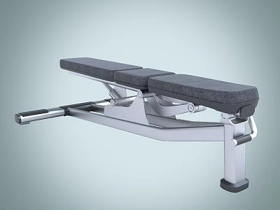 Fitness Bench With Gray Padded Seat And Sturdy Metal Frame For Home Gym 3d model