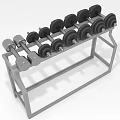 Sturdy Dumbbell Rack With Multiple Weight Plates For Home Gym Training