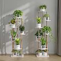 Decorative Indoor Plant Stands With Multiple Tiers And Green Potted Plants