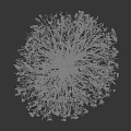 Deciduous Tree With Snow Covered Branches And Brown Trunk In Winter 3d model