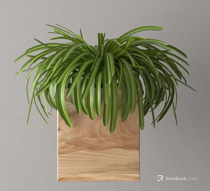 Decorative Ornament Plant Arrangement in Wooden Planter with Long Green Leaves 3d model 