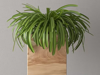 Decorative Ornament Plant Arrangement in Wooden Planter with Long Green Leaves 3d model