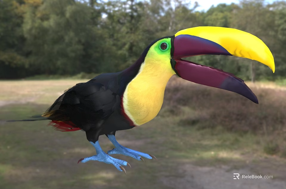 Colorful Toucan With Vibrant Beak In Natural Habitat 3d model 