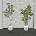 Modern potted plant potted combination 3d model