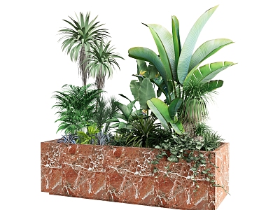 plant combination green plant tropical plant trees outdoor plant box 3d model