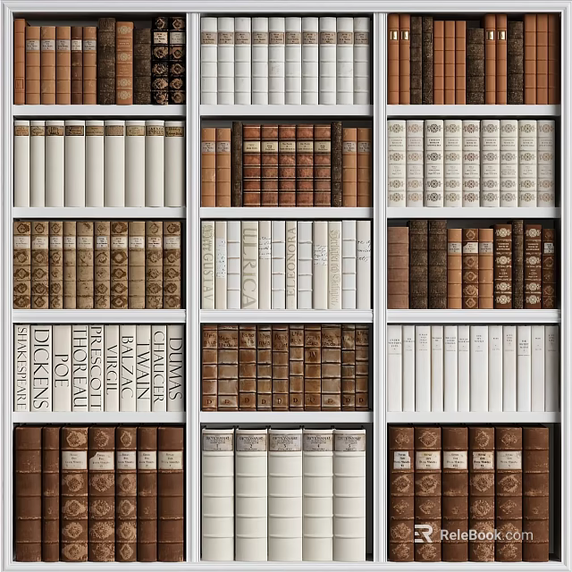 Decorative Bookshelf Wall With Various Book Spines In Different Colors And Tidy Rows 3d model 