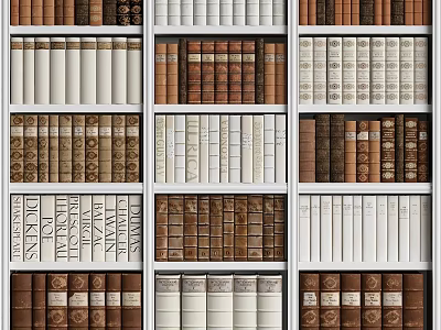 Decorative Bookshelf Wall With Various Book Spines In Different Colors And Tidy Rows 3d model