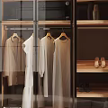 Modern Glass Door Wardrobe With Clothing Hanging Area And Wooden Storage Shelves