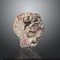 Pink And White Marine Shell Animal With Multiple Natural Unique Holes Structure