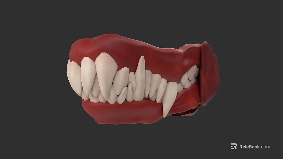 Reptile Jaw Model Featuring Sharp Teeth And Detailed Dental Structure 3d model