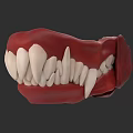 Reptile Jaw Model Featuring Sharp Teeth And Detailed Dental Structure 3d model