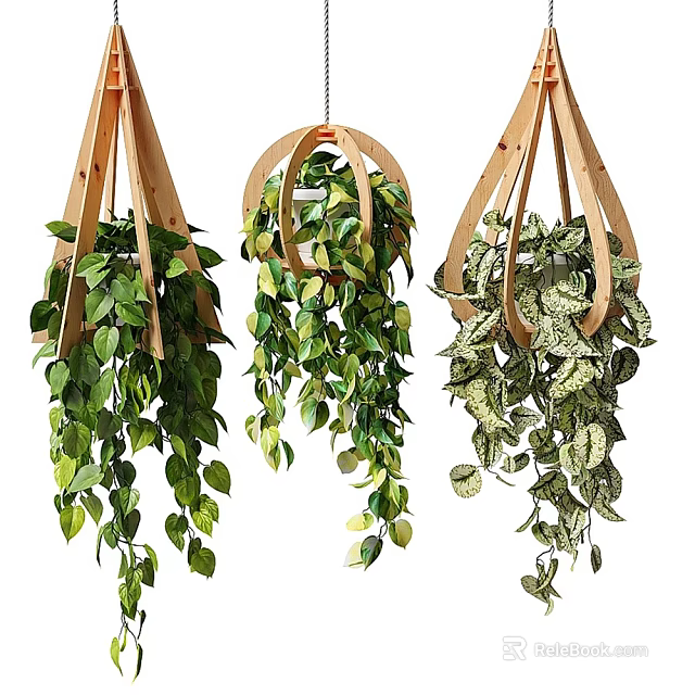 Lush Hanging Indoor Plants With Wooden Frames And Trailing Green Leaves 3d model 