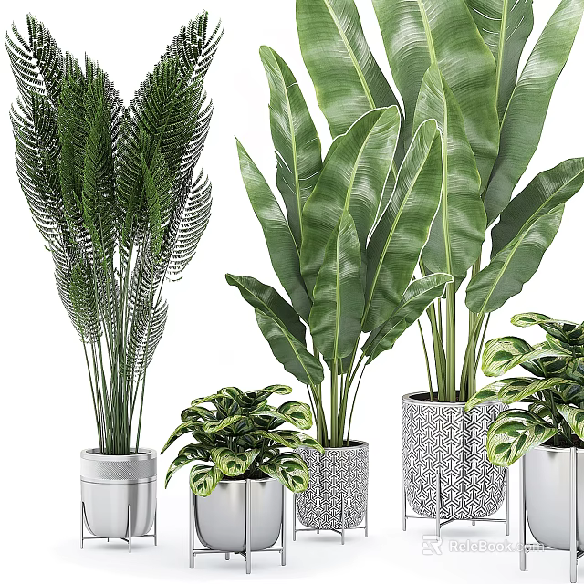Various Types Of Green Leafy Potted Plants In Decorative Silver And Textured Pots 3d model 
