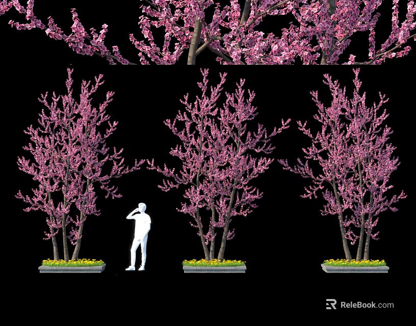 Pink Flowering Arbor Trees With Abundant Pink Blossoms And Person Standing Under In Landscape 3d model 