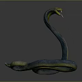 Blue and Yellow Snake with Coiled Body Raised Head and Flicking Tongue on Dark Background