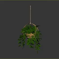 Lush Green Hanging Plant In Wicker Basket With Wooden Hanger And Trailing Leaves