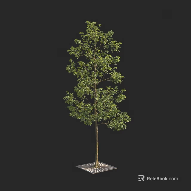 Tall Arbor With Lush Green Foliage And Single Wooden Trunk On Decorative Base 3d model 