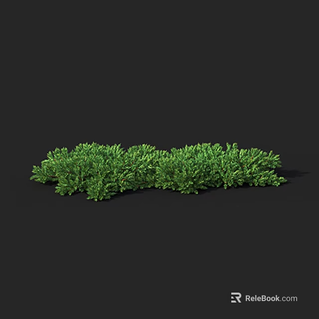 Lush Green Shrub with Dense Foliage Isolated on Dark Background 3d model 