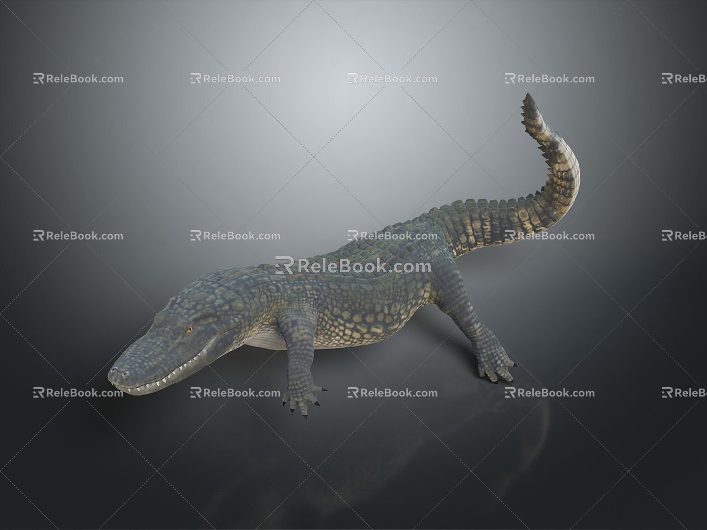 Crocodile Alligator Nile Crocodile carnivore reptile cold-blooded animal reptile reptile 3d model