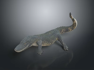 Reptile Crocodile with Detailed Scaly Skin and Long Tail in Natural Posture 3d model Reptile Crocodile with Detailed Scaly Skin and Long Tail in Natural Posture 3d model