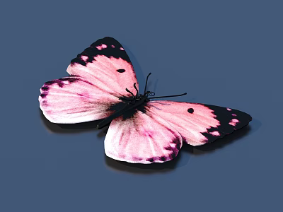 Pink And Black Spotted Butterfly With Vibrant Wings On Dark Blue Background 3d model