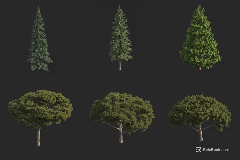 Different Types of Arbor Trees Featuring Various Foliage and Canopy Shapes 3d model 