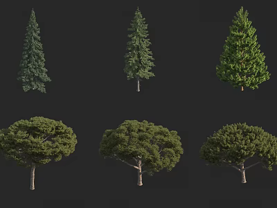 Different Types of Arbor Trees Featuring Various Foliage and Canopy Shapes 3d model