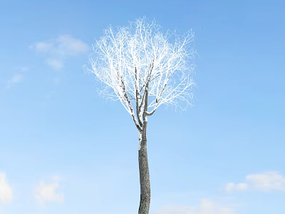 Bare Branch Tree Standing Against Clear Blue Sky With White Clouds 3d model