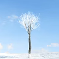 Bare Branch Tree Standing Against Clear Blue Sky With White Clouds