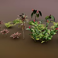 Diverse Green And Colorful Foliage Plants Arranged On Brown Background Surface